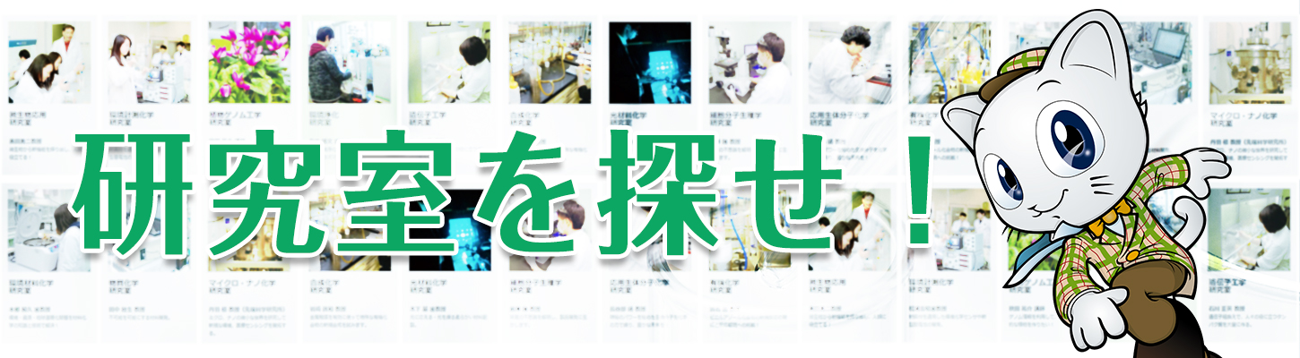研究室を探せ 化学 材料分野 環境に優しい 新素材開発 埼玉工業大学 工学部 生命環境化学科 バイオ 環境科学専攻 応用化学専攻